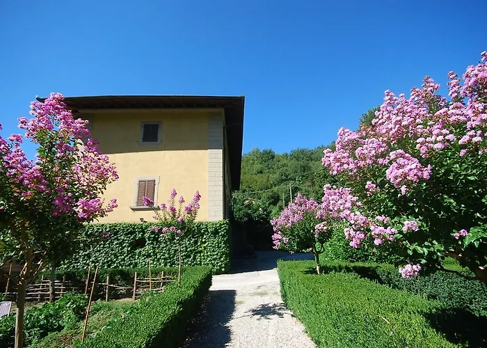 Salaiole Villa Castiglione (Florence)